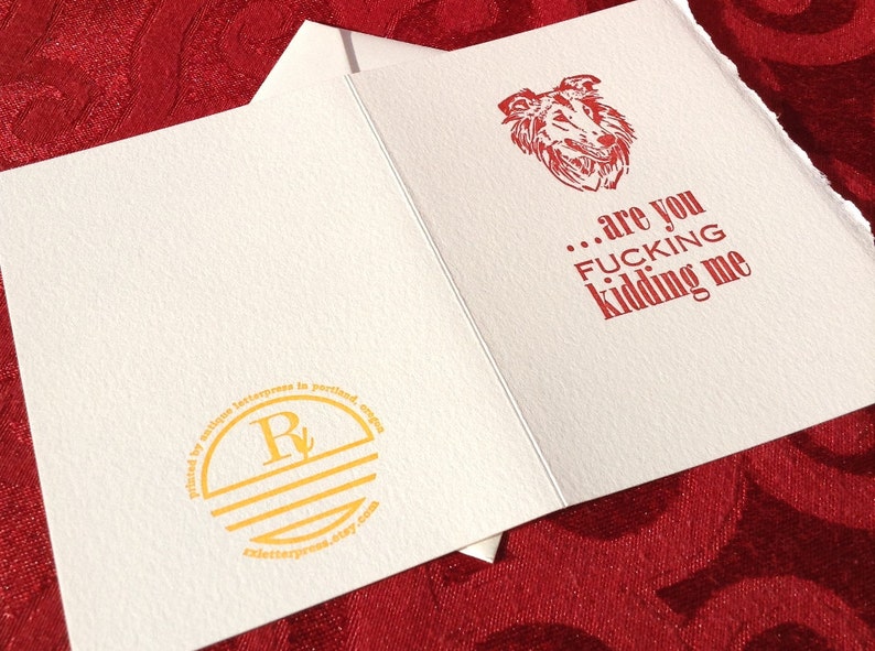 Funny Collie or Sheltie MATURE Language Are You F***ing Kidding Me? Offensive Letterpress Card Irritated Dog