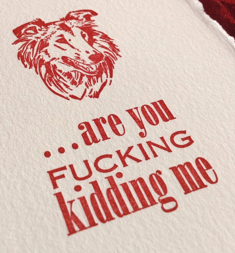 Funny Collie or Sheltie MATURE Language Are You F***ing Kidding Me? Offensive Letterpress Card Irritated Dog