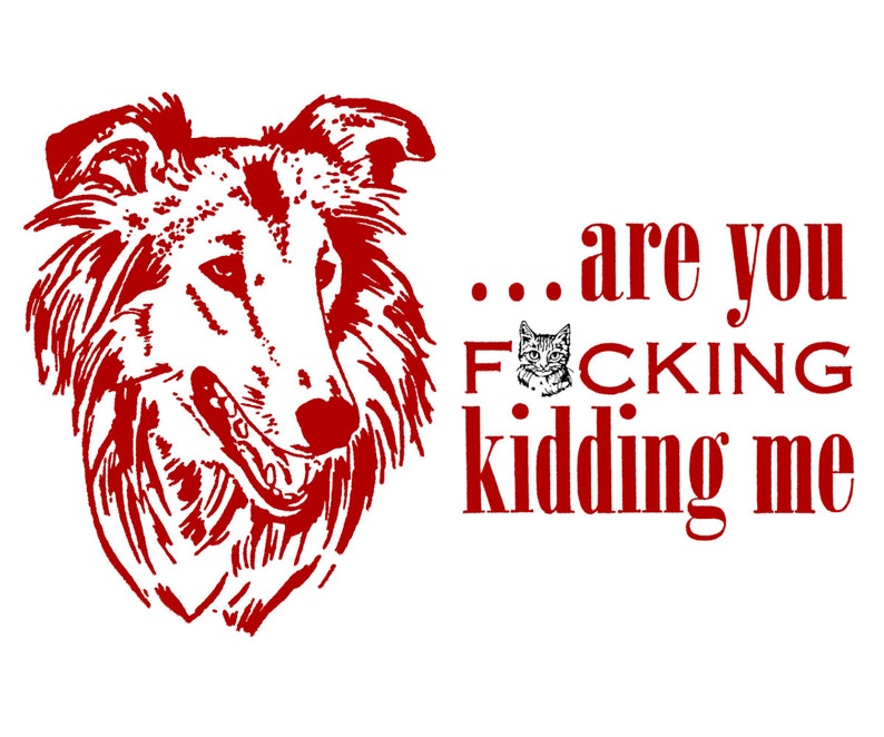 Funny Collie or Sheltie MATURE Language Are You F***ing Kidding Me? Offensive Letterpress Card Irritated Dog