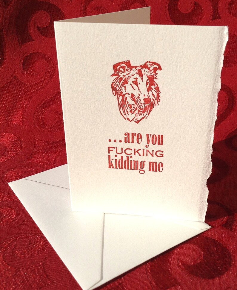 Funny Collie or Sheltie MATURE Language Are You F***ing Kidding Me? Offensive Letterpress Card Irritated Dog