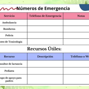 Pregnancy and Maternity Planner: Tracking, Preparing, and Caring for Your Baby (Printable PDF)