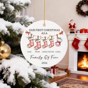 First Christmas As Family of 2-6, Personalized Christmas Bauble, Baby First Christmas Ornament with Pet, 1st Christmas Ornament Keepsake