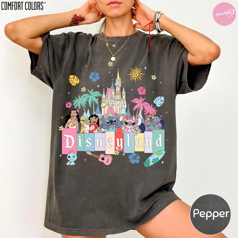 Pu&ograve; includere: T-shirt grigio scuro con grafica colorata di Disneyland. La grafica presenta un castello, personaggi dei cartoni animati e la scritta "Disneyland" in colori pastello. Elementi aggiuntivi includono fiori, palme e una tavola da surf.