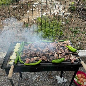 Parrilla de barbacoa resistente hecha a mano: barbacoa de hierro plegable para acampar