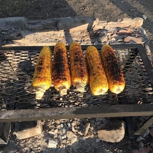 Handmade Campfire Grill – Foldable Heat-Resistant Steel Cooking Rack (50x30 cm, 3.2 kg) ,barbecue-survival