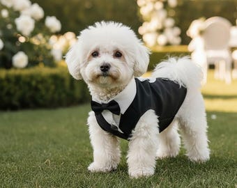 Smoking-Jacke für Haustiere | Formelles Haustier-Outfit B2