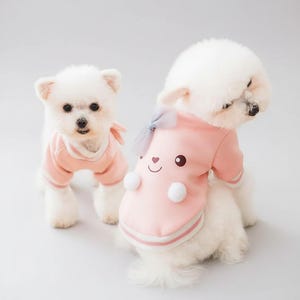 Traje de dibujos animados para perros y gatos / Ropa cálida para otoño e invierno