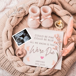 Digital Pregnancy Announcement, Digital Baby Reveal, Social Media Editable Template, Gender Neutral Announcement, Boho Pregnancy Reveal,
