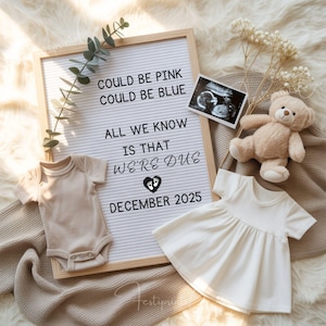 Digital Pregnancy Announcement, Digital Baby Reveal, Social Media Editable Template,Gender Neutral Announcement, Boho Pregnancy Reveal