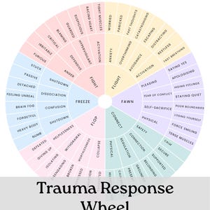 Könnte beinhalten: Ein kreisförmiges Trauma Response Wheel Diagramm, unterteilt in farbige Segmente, die psychologische Zustände wie Fight, Flight, Fawn, Connect, Flop und Freeze darstellen. Jeder Bereich enthält Unterkategorien emotionaler Reaktionen.