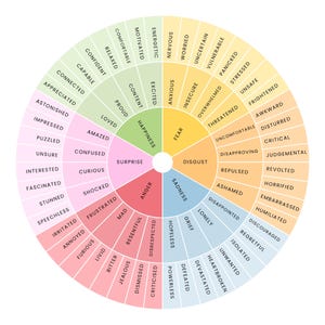 Feelings Wheel | 78 Emotions | 3 Designs