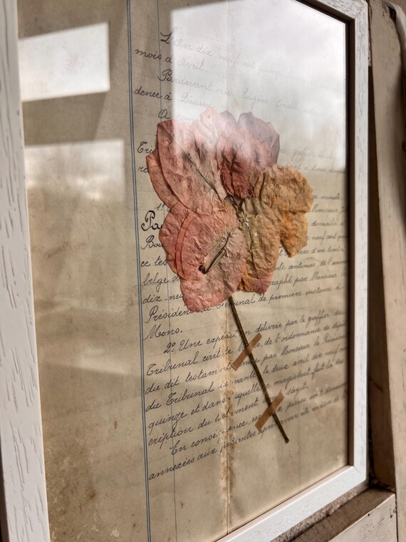 [ドイツ]額入り押し花(壁掛け)/アンティーク ヴィンテージ ブロカント 古道具 ヨーロッパ インテリア 花 ボタニカル 雑貨 雰囲気◎ / 押し花　額　 めばえ「おやゆびひめ」（小学館）挿絵「 親指姫誕生」