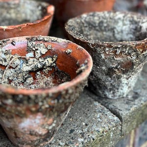 Antique French Terracotta Pot, Pine Resin Sap Vase. Provençal Home & Gardenalia decor/ ONE Vessel