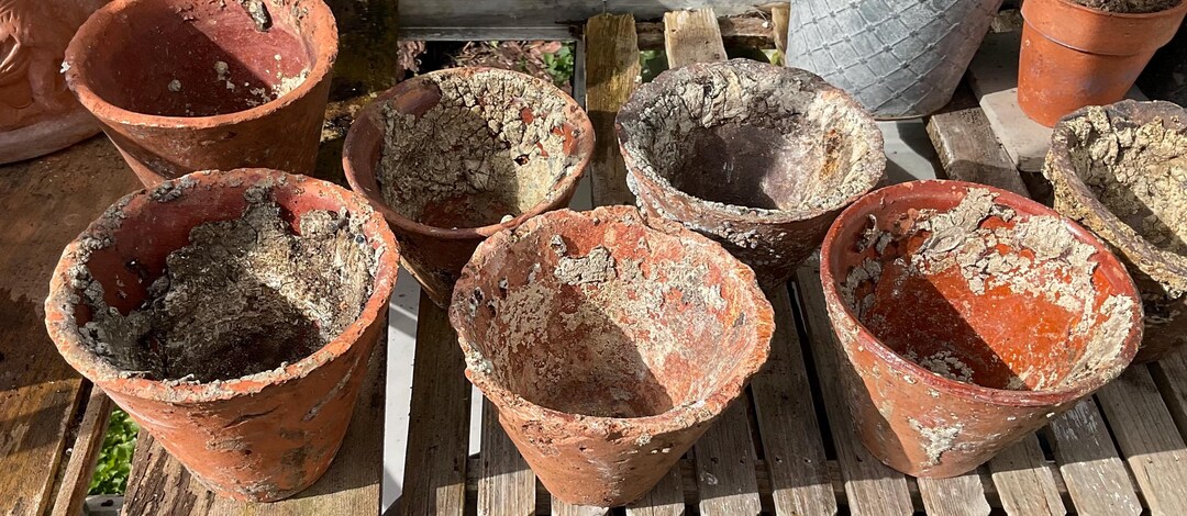 Antique French Terracotta Pine Resin Pot: Provençal Garden Decor
