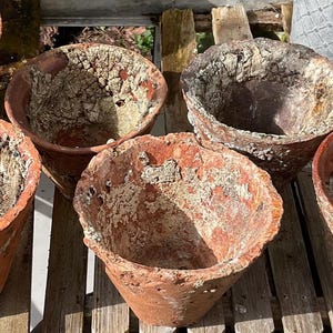 May include: A collection of used, terracotta flower pots of various sizes. The pots show signs of previous use, with dried soil and residue visible inside. The pots are arranged on a wooden surface, suggesting a garden or outdoor setting.