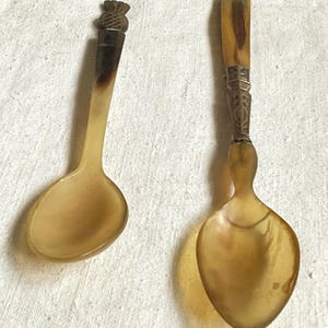 May include: Two antique spoons with light brown bowls and handles. One spoon has a carved thistle design on the handle, while the other has a decorative metal band. The spoons are likely made of horn or a similar material.