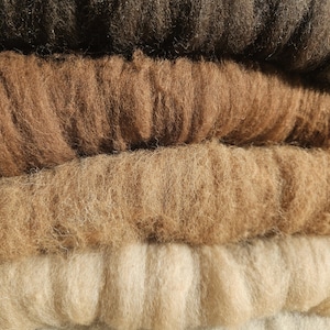 Könnte beinhalten: Vier Knäuel Wolle in verschiedenen Brauntönen, von Dunkelbraun bis Hellbeige.