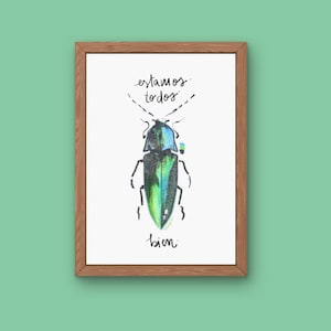 Foglio illustrativo per decorazione - Bugs 2