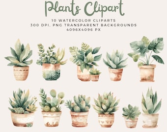 Watercolor Potted Plants Clipart - Green House Plant - Instant Download PNG - Snake Plant Succulent Cactus
