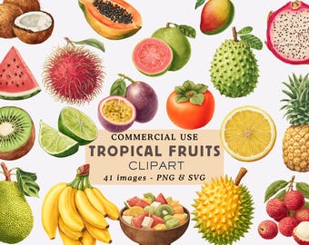 Tropical Fruits Summer Clipart Bundle Exotic Summer Fruits Illustrations Beach Fruit Graphics Digital Download Commercial Use