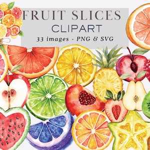 Watercolor Fruit Slices Clipart Fruit Slices Graphics Fruits Clipart Fruits Illustrations Sweet Fruits Cut in Half Fruits Png Commercial Use