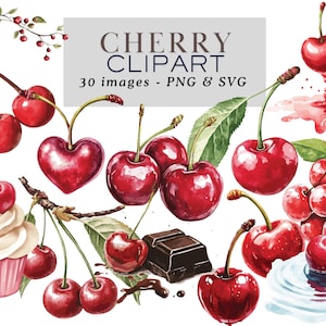 Cherry Clipart Coquette Aesthetic Red Cherry Clipart Cherry Svg Cherry Png Cherry Graphics Watercolor cherry clipart Cherry Junk Journal