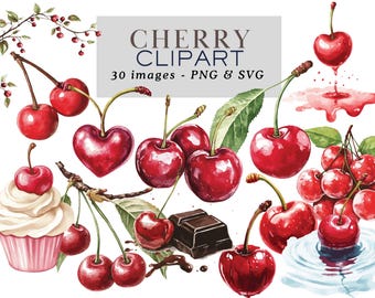 Cherry Clipart Coquette Aesthetic Red Cherry Clipart Cherry Svg Cherry Png Cherry Graphics Watercolor cherry clipart Cherry Junk Journal