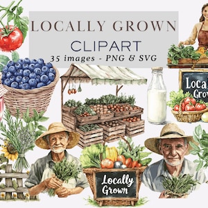 Locally Grown Clipart Farmers Market Clipart Watercolor Locally Grown Svg Locally Grown Png Garden Clipart Farmers Market PNG Commercial Use