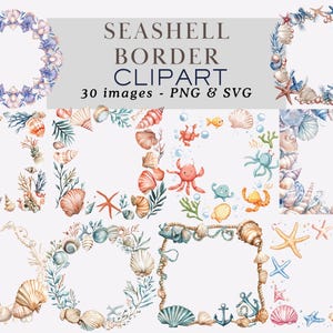 Watercolor Seashell Border Clipart Seashell Frame Seashell Border PNG Ocean Shell Frames Seashell Wreath Seashell PNG Tropical Summer Border