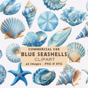 Puede incluir: Una ilustración en acuarela de conchas marinas azules, estrellas de mar y erizos de mar. La imagen presenta diversas formas y tamaños de conchas, en tonos azules con algunos acentos beige. El texto dice "COMMERCIAL USE BLUE SEASHELLS CLIPART".