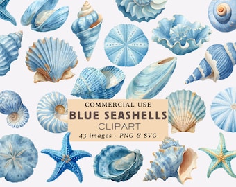 Könnte beinhalten: Eine Aquarellillustration mit blauen Muscheln, Seesternen und Seeigeln. Das Bild zeigt verschiedene Muschelformen und -größen in Blautönen mit einigen beigen Akzenten. Der Text lautet "COMMERCIAL USE BLUE SEASHELLS CLIPART".