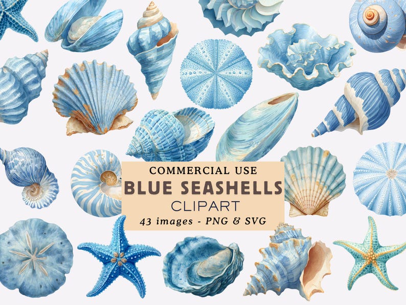 Shell String Graphic Blue Seashell Clipart Bundle Blue Ocean Shells Illustrations Under the ...