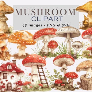 Champignon clipart PNG champignon graphique champignon PNG forêt champignon vénéneux graphiques forêt Clipart Nature Clipart champignon forestier usage Commercial