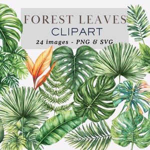 Forest Leaves Clipart Greenery Clipart Leaves Graphics Foliage Clipart Green Leaves Clipart Leaves Png Nature Clipart Leaf Commercial Use