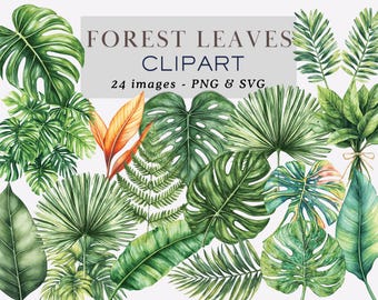 Forest Leaves Clipart Greenery Clipart Leaves Graphics Foliage Clipart Green Leaves Clipart Leaves Png Nature Clipart Leaf Commercial Use
