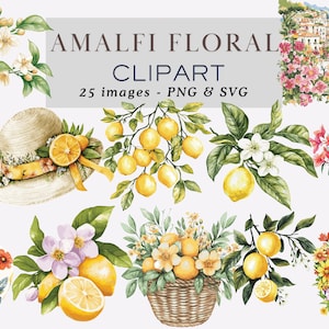 Amalfi Floral Clipart Amalfi Coast Clipart Lemon Clipart Lemon Stickers Italian Summer Illustrations Mediterranean Aesthetic Commercial Use