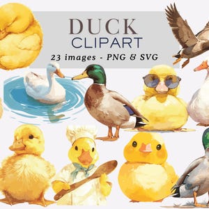 Duck Clipart Duck Png Duck Graphics Duck Illustrations Animal Clipart Cute Duck Clipart Duckling Clipart Baby Shower Clipart Commercial Use