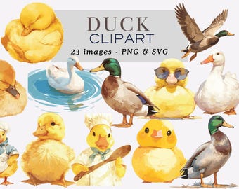 Duck Clipart Duck Png Duck Graphics Duck Illustrations Animal Clipart Cute Duck Clipart Duckling Clipart Baby Shower Clipart Commercial Use