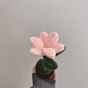Pode incluir: Uma flor artesanal feita de limpadores de cachimbo rosa claro com textura felpuda. A flor apresenta seis pétalas dispostas em torno de um centro com pequenas contas brancas. Possui caule e folhas verdes, tudo em um vaso marrom texturizado.