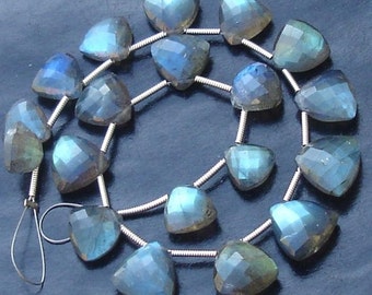 Fine Quality,Blue Flashy Labradorite Faceted TRILLION Shape Briolettes, 8-9mm Long aprx, 19 Pieces,Great Item at Low price