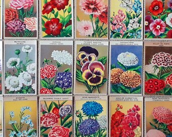 現在、この商品の在庫はありません - Etsy