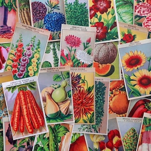 144 original labels, Vintage French Flower and Vegetable Seed Packet Labels lithographs antique botanical prints from the 1920s