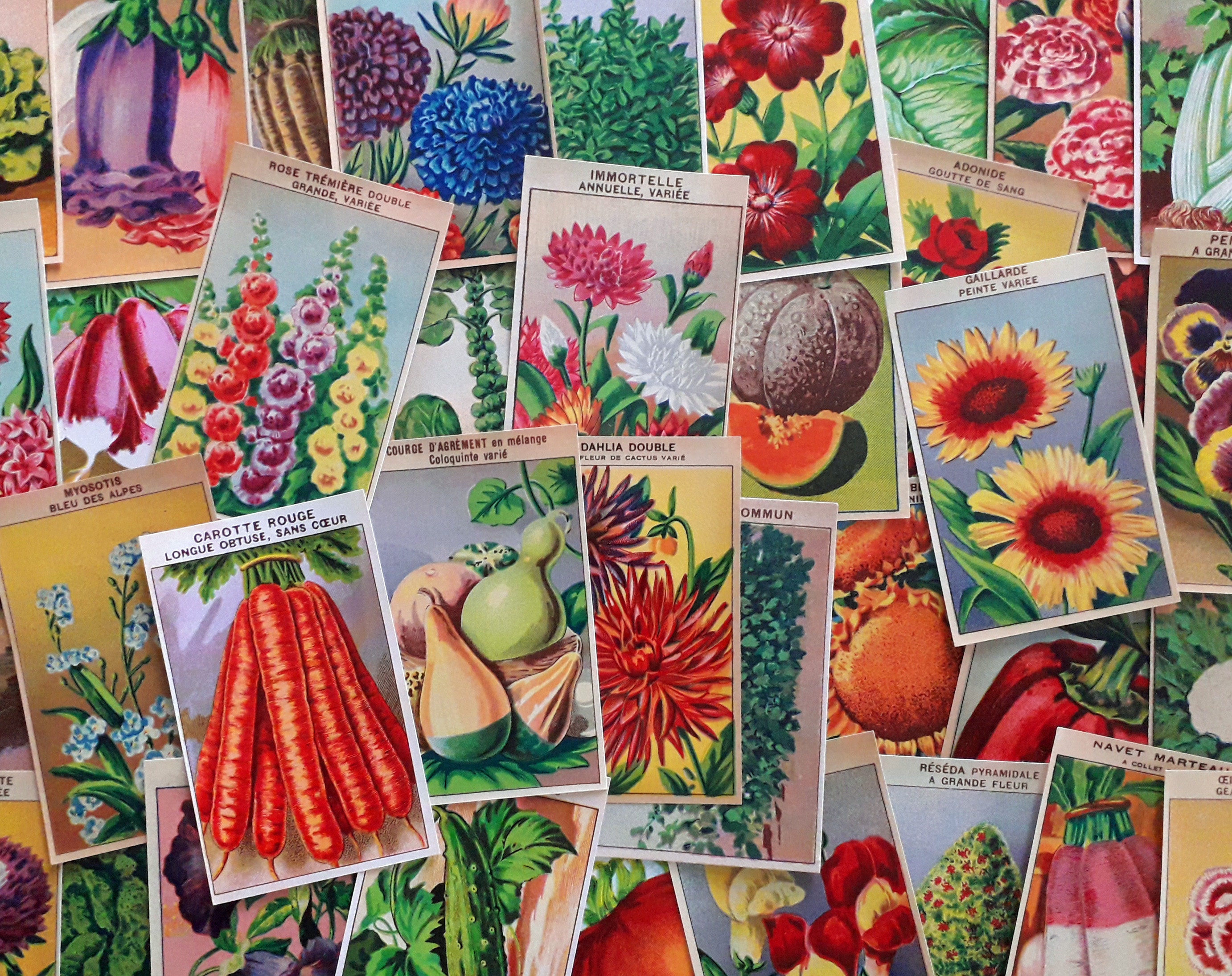 Antique Flower Seed Packets, Sticker Sheet, Vintage Seed Packs, Garden  Greenhouse Sign, Rustic Garden Shed, Botanical Ephemera Paper, 621