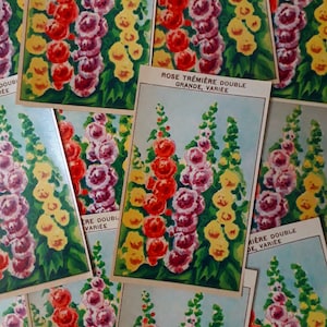 75 HOLLYHOCK labels, Antique French Flower Seed Packet Labels, Cottage Garden Style, Rose Trémière, 1920s Lithograph printed,