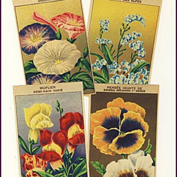 72 Vintage French Flower Labels All Different