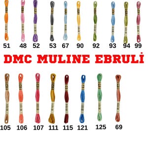 May include: A collection of DMC Muline Ebruli embroidery floss in various colors. The image displays multiple skeins of thread, each labeled with a number. The colors range from orange to pink, purple, blue, green, and brown.