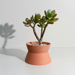 Puede incluir: Una pequeña planta de jade en una maceta de color terracota. La planta tiene hojas verdes y tallos marrones. La maceta tiene una forma única de reloj de arena. La planta está sobre una superficie blanca.