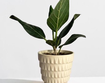 Modern Geometric Planter: Indoor Plant Pot for Succulents and Small Plants