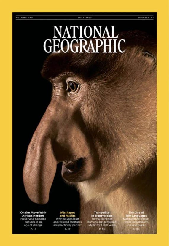 National Geographic Magazine英語版 National Geographic Magazine Nat Geo January 1985 (Fc5-4-B) | eBay
