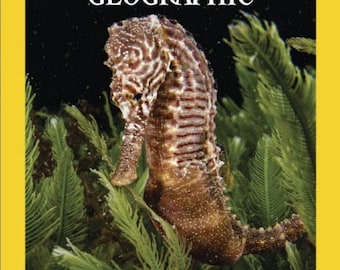British National Geographic UK – Vol. 249, n. 2, febbraio 2026